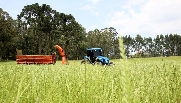  Governo renova Fundo de Aval para garantia em financiamentos à agricultura familiar